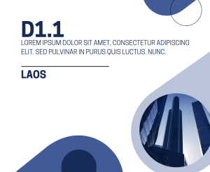 D1.1